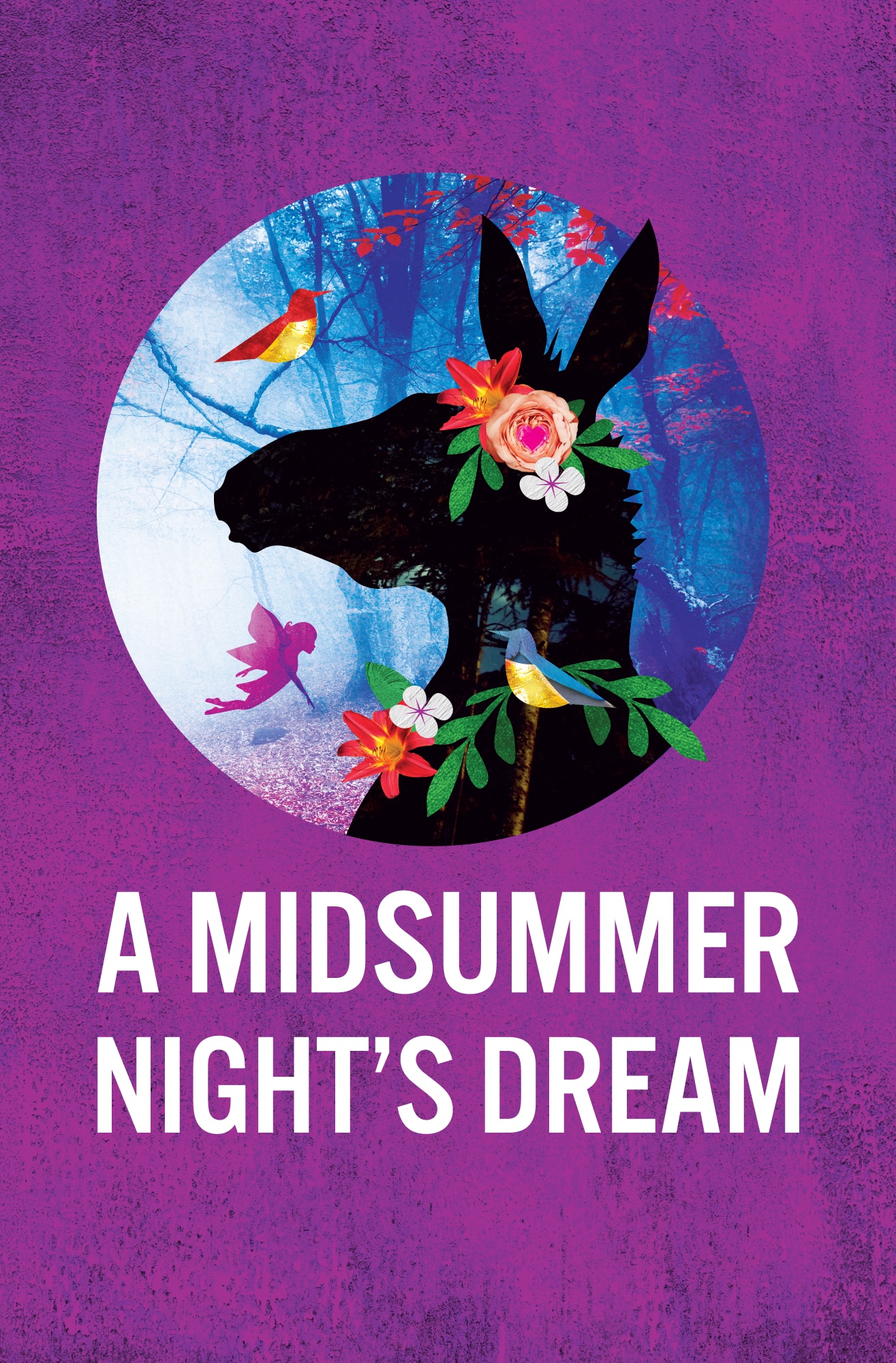 A Midsummer Night's Dream Graphic -- Links to Study Guide (when available)